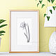 Painting interior Flowers Narcissus Painting gift Painting on the wall, Pictures, Barnaul,  Фото №1