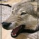Ковер из волка качественной выделки. Ковры для дома. ГХЕЛЬ Руническая Мастерская GXEL (gxel). Интернет-магазин Ярмарка Мастеров.  Фото №2