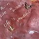 Order Oil painting Butterfly Message on a square canvas. sharaeva-elena. Livemaster. . Pictures Фото №3