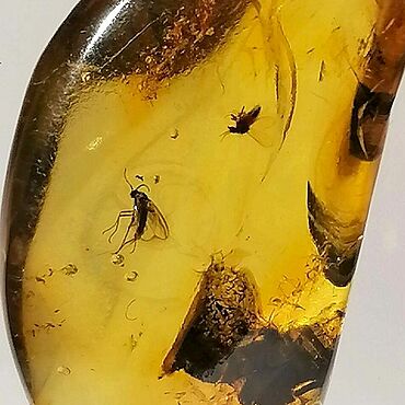 Талисман на день рождения: Как выбрать подарок, который станет вашим личным оберегом на всю жизнь