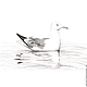 Картина Чайка, серый белый черный птица рисунок графика карандаш. Картины. Юлия Рустамьян (Julrust). Интернет-магазин Ярмарка Мастеров.  Фото №2