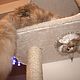 High house for cats to buy. Fits a large cat. Scratching Post. Workshop for dogs and cats. My Livemaster. Фото №6
