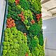 Панно из мха. Фитокартины. Green.Box. Ярмарка Мастеров.  Фото №4