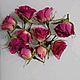 Розы темно- розовые, 10 шт, Цветы сухие и стабилизированные, Краснодар,  Фото №1