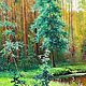 Order Oil painting landscape Treeless backwater Vladimir Chernov. VladimirChernov (LiveEtude). Livemaster. . Pictures Фото №3