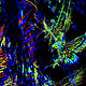Psychedelic art trip painting Home Decor "Phoenix". Design. anahart. My Livemaster. Фото №5