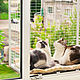 Съёмный кошачий балкончик "Кошка на окошке". Вольеры. Кошка на окошке (catsafety). Интернет-магазин Ярмарка Мастеров.  Фото №2