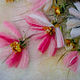 Painting of wool Cosmea 2. Pictures. Galina Ansiforova. My Livemaster. Фото №4