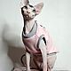 Заказать Одежда для кошек "Толстовка спорт -  Шик Блеск". Happy-Sphynx. Ярмарка Мастеров. . Одежда для питомцев Фото №3