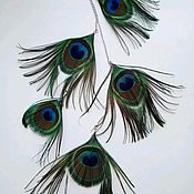 Перо Петуха, декоративных пород. 36 перьев набор. Цвет бирюзово синий
