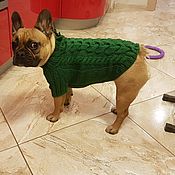 Зоотовары handmade. Livemaster - original item Sweater for French bulldog/pug (different color). Handmade.
