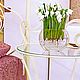 Snowdrops in a glass vase with ice, Plants, Moscow,  Фото №1