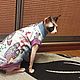 Одежда для кошек "Толстовка - Стрекоза". Одежда для питомцев. Happy-Sphynx. Интернет-магазин Ярмарка Мастеров.  Фото №2