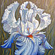 Картина пастелью "Голубой ирис", Картины, Доха,  Фото №1