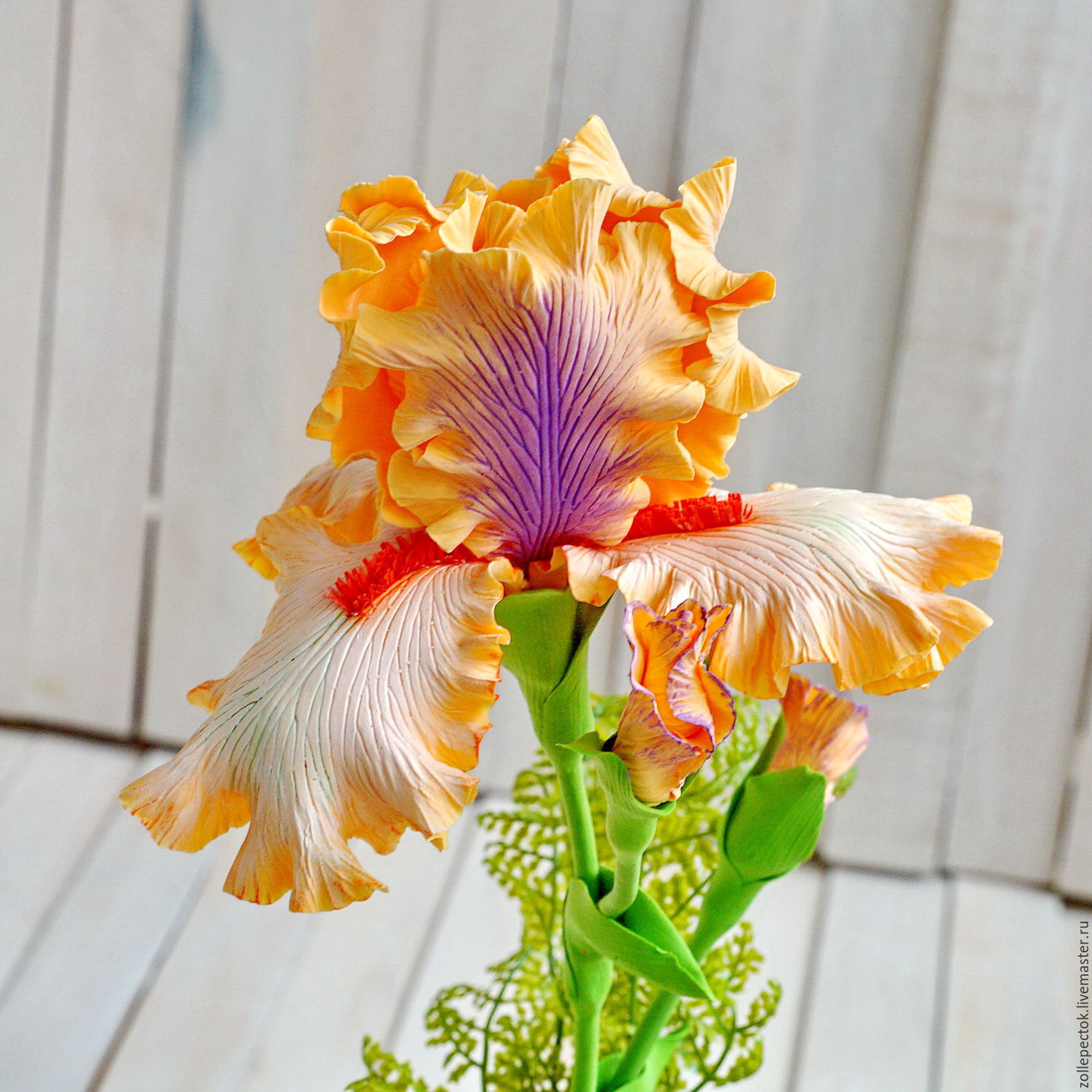 The iris flower "Peach" shop online on Livemaster with shipping