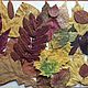 100 осенних листьев, Природные материалы, Москва,  Фото №1
