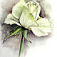 Белая роза, Картины, Санкт-Петербург,  Фото №1
