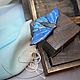 Brooch Moth blue made of polymer clay. Brooches. AnnaMalnaya. My Livemaster. Фото №5