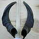 Goat horns paired large №1. Along the chord 30 cm. Horns. Klubok-nitok. Online shopping on My Livemaster.  Фото №2