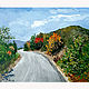 Painting the road to the sea 'To the Crimea', oil, Pictures, Izhevsk,  Фото №1