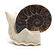Snail Ammonite Small. Figurines. NGS Masters. My Livemaster. Фото №4