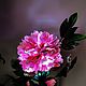 Order Flower-night light of the peony 'Princess Margarita'. Elena Krasilnikova. Livemaster. . Nightlights Фото №3