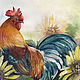 Watercolor rooster and sunflowers. Pictures. Watercolors of Plovetskay Tatiana. Online shopping on My Livemaster.  Фото №2