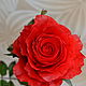  Роза полноразмерная из холодного фарфора, Цветы, Кемерово,  Фото №1
