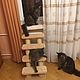 Ladder-scratching post to the window.Suitable for dogs. Available in size, Ladders steps for animals, Ekaterinburg,  Фото №1
