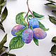  Plums Botanical watercolor, Pictures, Krasnodar,  Фото №1