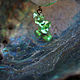'Fish Crystal Lagoon,' the magic earrings with pendants. Earrings. legendavincento. My Livemaster. Фото №4
