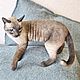 Заказать Выкройка сиамского кота. LUVER SOFT SCULPTURE. Ярмарка Мастеров. . Курсы и мастер-классы Фото №3