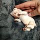 A newborn chihuahua puppy is ON SALE, Amigurumi dolls and toys, Surgut,  Фото №1