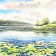 Watercolor painting ' Lake. Water lilies ' summer landscape, Pictures, Moscow,  Фото №1