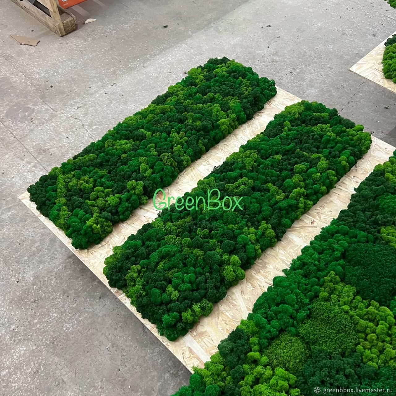 Композиция из двух панно из мха 120*40см в интернет-магазине Ярмарка ...