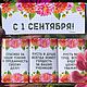 Учителю с 1 сентября!. Сувениры по профессиям. Анна. Ярмарка Мастеров.  Фото №7