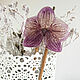 Wooden stud made of beech with a real Orchid flower Lilac. Hairpin. WonderLand. My Livemaster. Фото №6