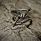 Кольцо Thorn из серебра 925 пробы, ручная работа, Кольца, Алматы,  Фото №1