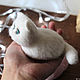 Котик Снежок пухлик игрушка из шерсти. Войлочная игрушка. ToysMari (handmademari). Ярмарка Мастеров.  Фото №5