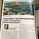 Картина маслом «Гармония». Здоровье, богатство. Картины. Sila2025. Ярмарка Мастеров.  Фото №5