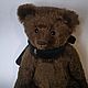 Bear Moss 43 cm with a Howler monkey, Teddy Bears, Varnavino,  Фото №1