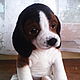 Beagle puppy SHAH, Stuffed Toys, Zelenograd,  Фото №1