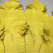 Материалы для творчества handmade. Livemaster - original item Crocodile leather, natural, haberdashery, yellow!. Handmade.