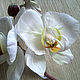 Орхидеи белые 'Фаленопсис цветы из шелка брошь заколка. Цветы. Евгения 'HAT TIME' шляпы и цветы. Ярмарка Мастеров.  Фото №4