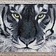 Картина алмазной мозаикой "Белый тигр", Картины, Владимир,  Фото №1
