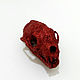 The skull of a marten. Model Hot Ruby