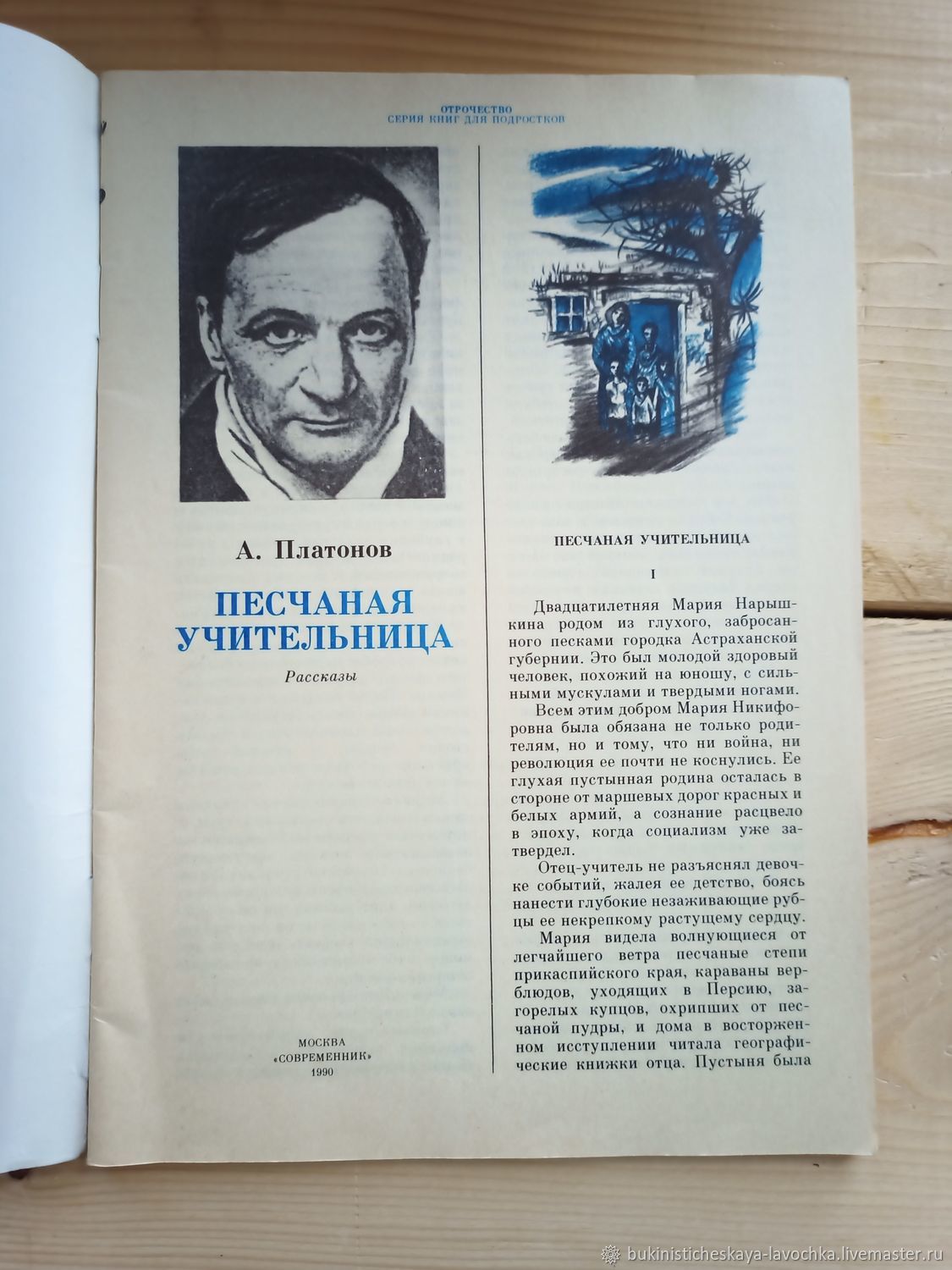 Книга песчаная учительница. Песчаная учительница сколько страниц.