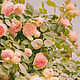Розы Фотокартина цветы для интерьера спальни и гостиной Шебби шик, Фотокартины, Москва,  Фото №1