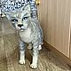 Интерьерная валяная игрушка, Интерьерная кукла, Северодвинск,  Фото №1