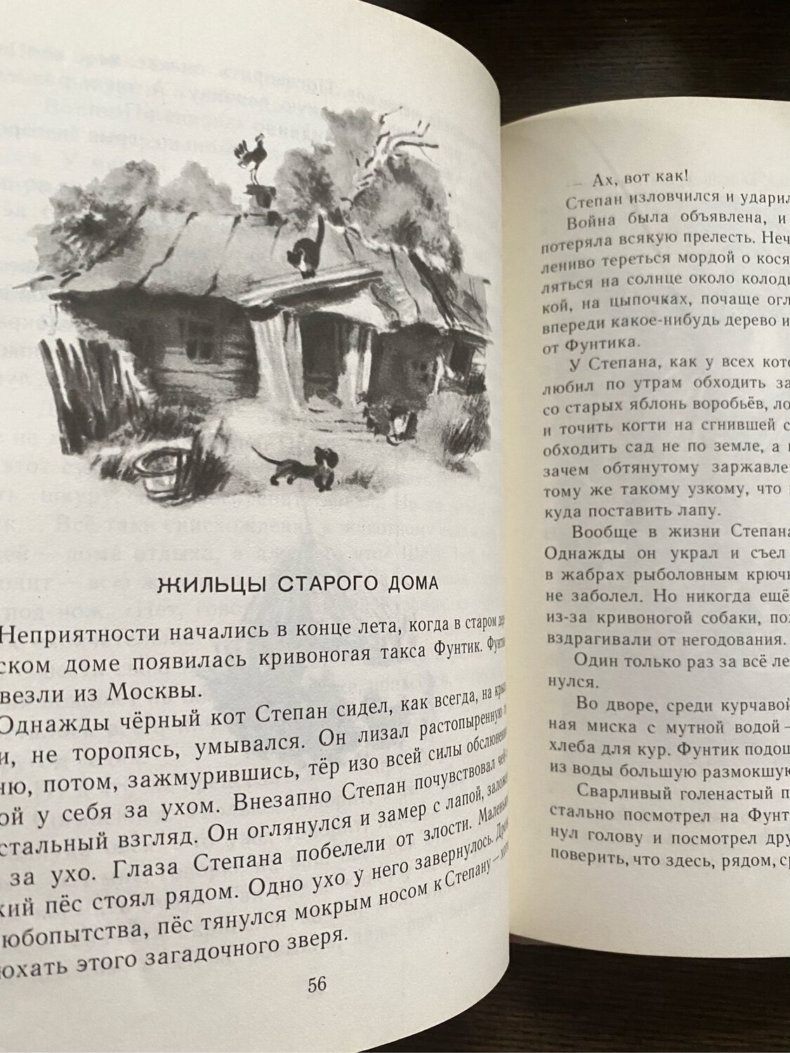 Винтаж: Книга 1972 г К.Паустовский Летние дни купить в интернет-магазине  Ярмарка Мастеров по цене 750 ₽ – RQAKKRU | Книги винтажные, Москва -  доставка по России